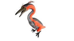 Hesperornis PaintRegion0.png