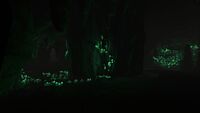Bio-luminescent Cavern