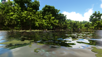 Turtlehead Swamp (Lost Island).png