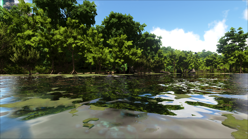 File:Turtlehead Swamp (Lost Island).png