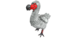 Dodo PaintRegion1.png