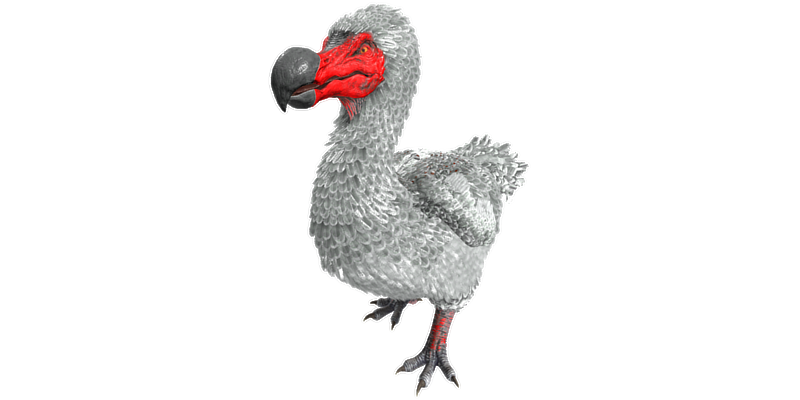 File:Dodo PaintRegion1.png