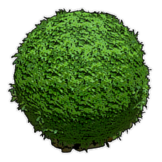 Mobile Round Hedge.png