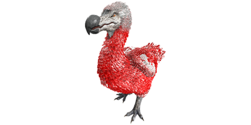 File:Dodo PaintRegion0.png