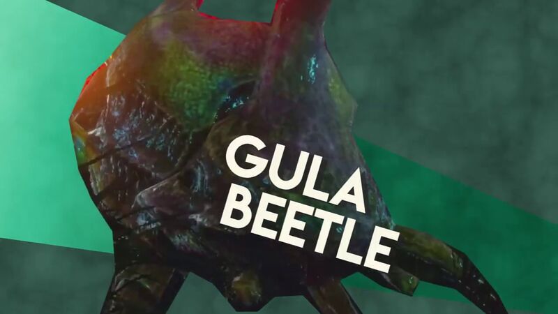 File:Gula Beetle Image.jpg