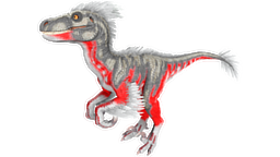 X-Raptor PaintRegion0.jpg