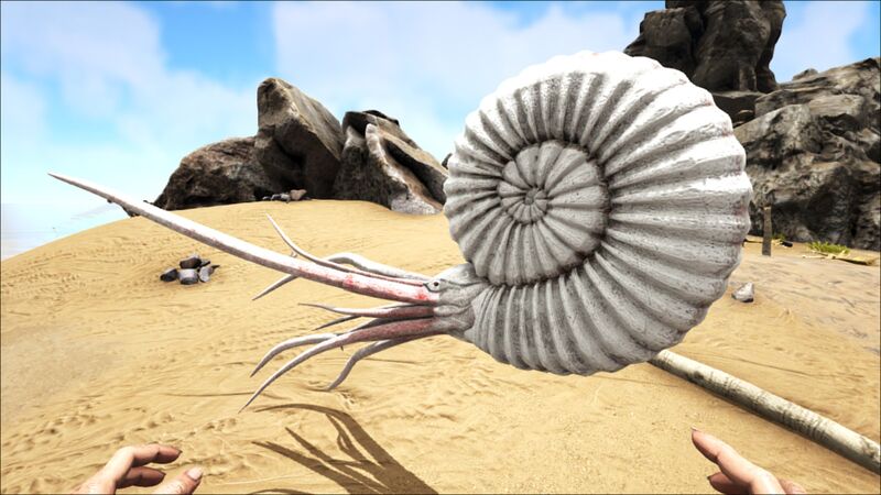 File:Ammonite PaintRegion2.jpg