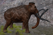 Mammoth Size.png