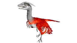 Microraptor PaintRegion0.png