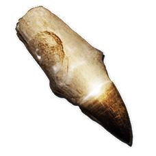 Alpha Mosasaur Tooth - ARK Official Community Wiki