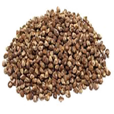 Tobacco Seed (Primitive Plus).png