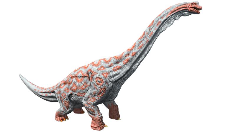 File:Mod AA Brachiosaurus PaintRegion4 ASA.png