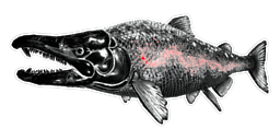 X-Sabertooth Salmon PaintRegion0.jpg