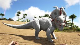 Pachyrhinosaurus PaintRegion2.jpg