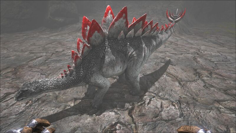 File:Stegosaurus PaintRegion4.jpg