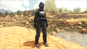 Female Riot Armor.