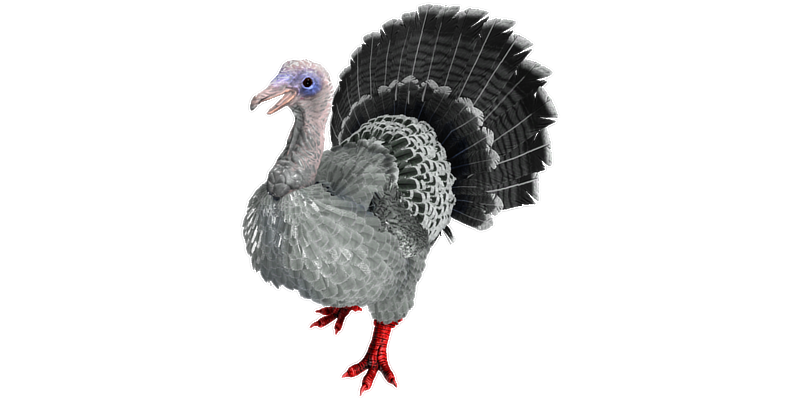 File:Super Turkey PaintRegion5.png