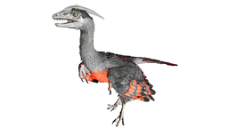 Microraptor PaintRegion5.png