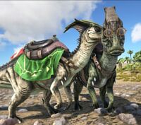 Parasaurs with the Parasaur Stylish Saddle Skin (left) and Dino Glasses (right)