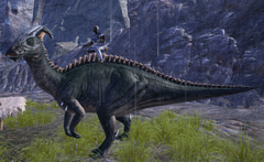 Parasaur with a human crouching on its back, to scale