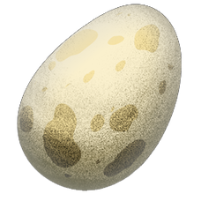 BK2 Basic Egg.PNG