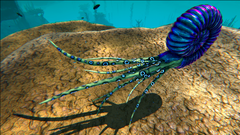 The X-Ammonite in Genesis: Part 1's Ocean biome
