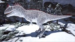 Carcharodontosaurus PaintRegion2.jpg