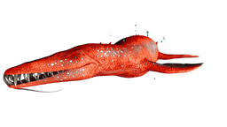 Liopleurodon PaintRegion5.png