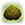 BetaKibble Icon.png