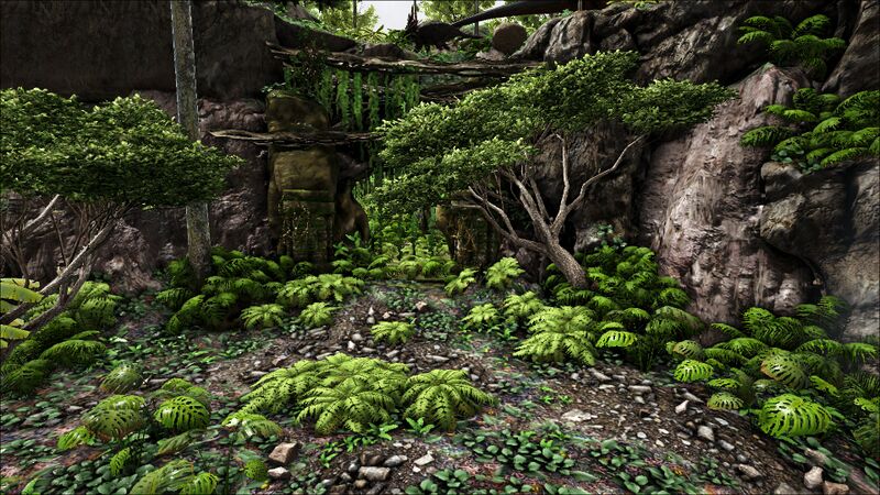 File:Jungle Dungeon 1 (Ragnarok).jpg