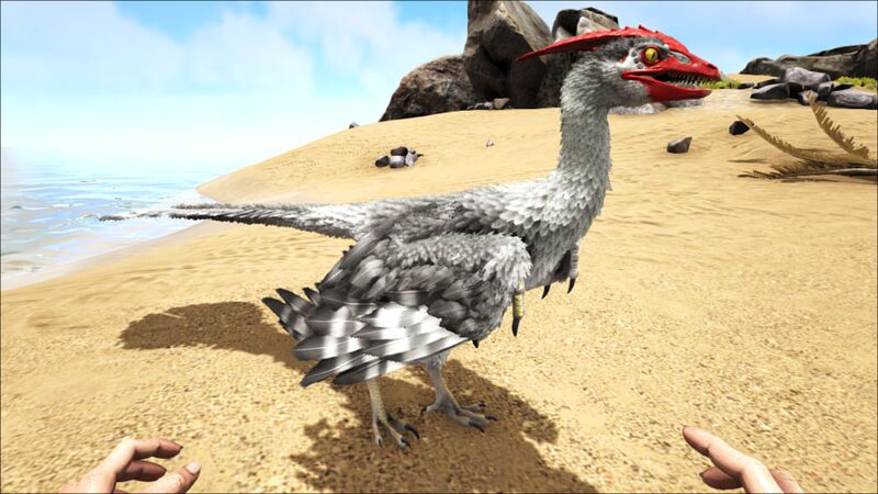 File:Microraptor PaintRegion1.jpg