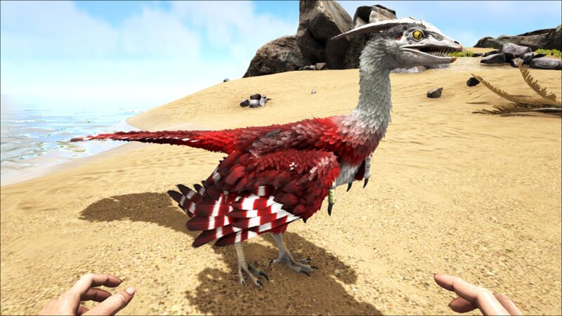 File:Microraptor PaintRegion0.jpg