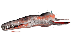 Liopleurodon PaintRegion0.png