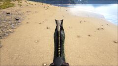 1st person view when riding