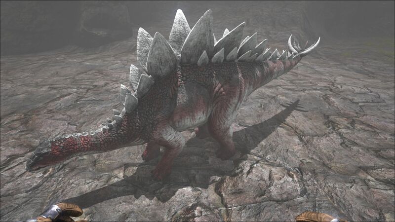 File:Stegosaurus PaintRegion0.jpg
