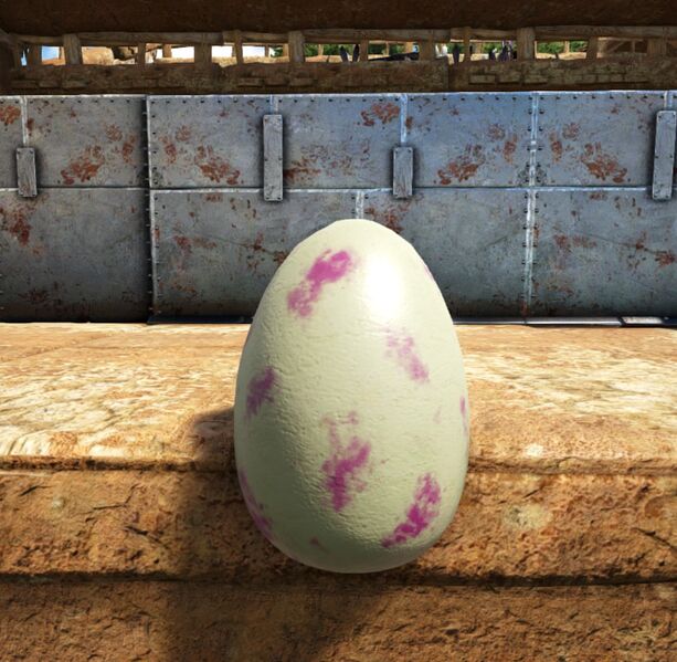 File:Regular Bunny Egg PaintRegion5.jpg