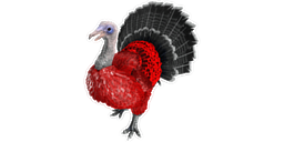 Super Turkey PaintRegion0.jpg