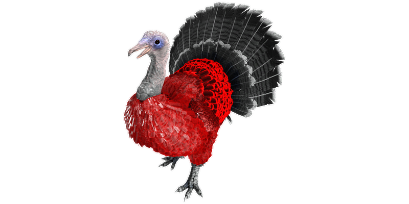 File:Super Turkey PaintRegion0.png