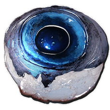 Alpha Tusoteuthis Eye.png
