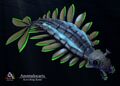 The 3D model of the Anomalocaris