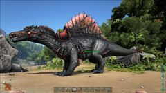 Spino with styled saddle.
