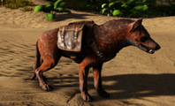 Una bolsa de carne equipada en un Hyaenodon