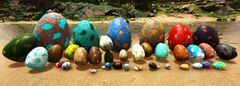地面の上の異なる卵
