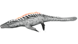 X-Mosasaurus PaintRegion3.jpg