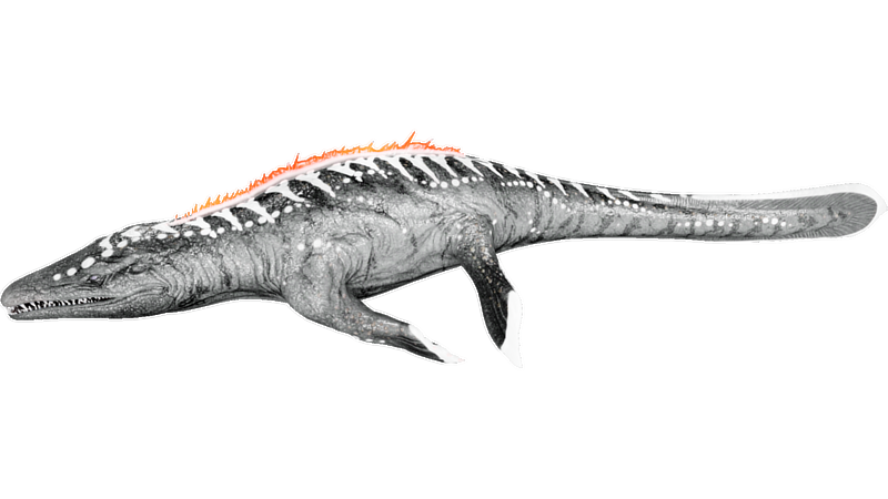 File:X-Mosasaurus PaintRegion3.png