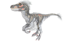 X-Raptor PaintRegion4.jpg