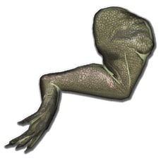 Frog Legs (Mobile).png