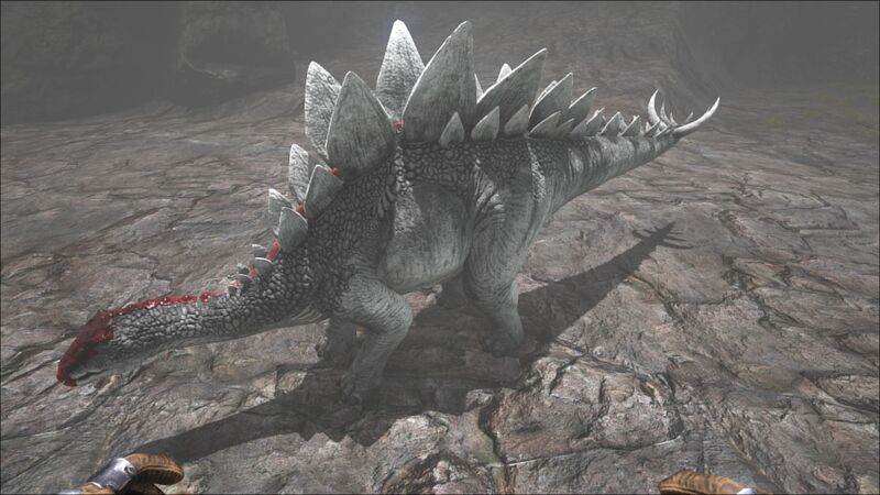 File:Stegosaurus PaintRegion1.jpg