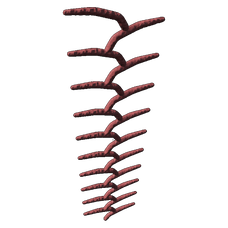 Mod Oceania Coral Ladder.png