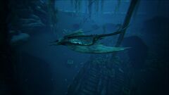 Manta Near a Shipwreck.jpg